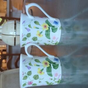 Country Meadow by Rosina Queens-  Mugs Set Of Two. Fine Bone China